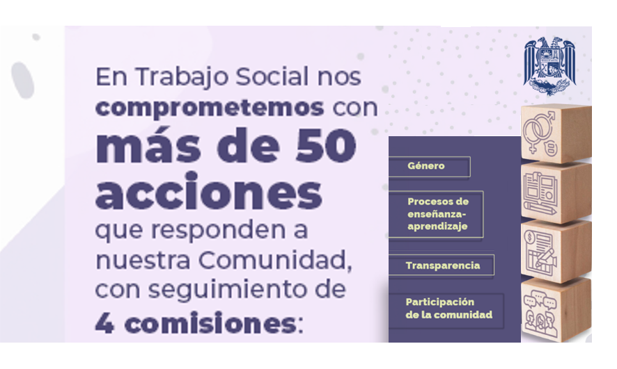 50 acciones