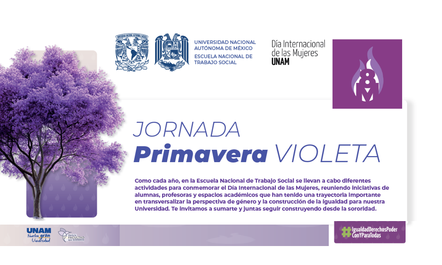 Jornada Violeta